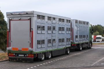 agriculteurs-:-abattoirs-mobiles-=-icpe-!