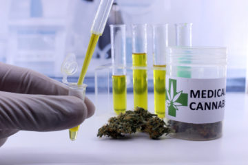 experimentation-de-l’usage-medical-du-cannabis-:-mode-d’emploi