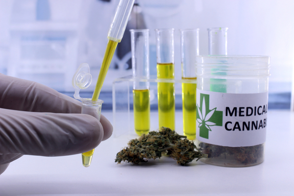 cannabis-therapeutique-:-des-precisions-a-connaitre