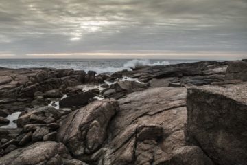 coronavirus-(covid-19)-:-une-nouvelle-aide-pour-les-arrets-temporaires-des-entreprises-de-peche-a-pied-et-de-recolte-de-vegetaux-marins