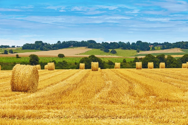 agriculteurs-:-il-ne-faut-pas-negliger-le-renouvellement-du-bail-rural-!