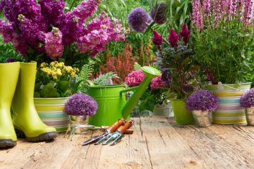 credit-d’impot-services-a-la-personne-:-pour-les-prestations-realisees-a-l’exterieur-du-domicile-?