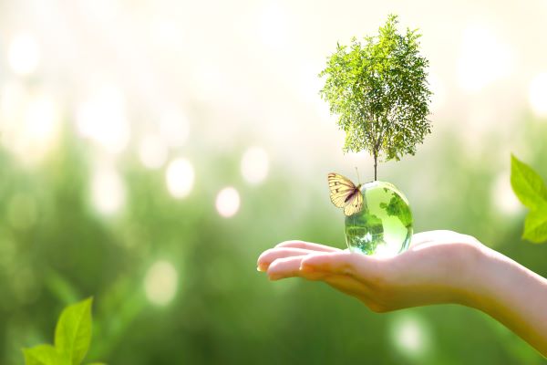 comment-faire-rimer-«-transition-numerique-»-avec-«-exigence-environnementale-»-?