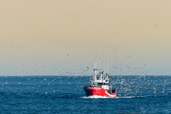 vente-de-moteurs-de-peche-:-chalutier-≠-bateau-de-plaisance