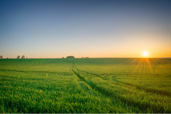 bail-rural-:-et-si-l’un-des-locataires-cesse-d’exploiter-les-terres-?