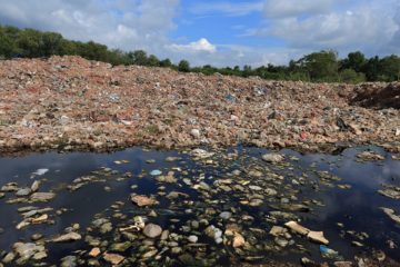 tgap-:-comment-la-declarer-?