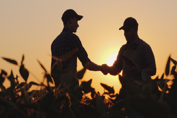 vente-de-terres-agricoles-=-droit-de-preemption-de-la-safer-?