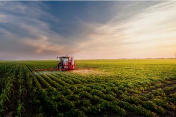 agriculture-:-quelles-alternatives-aux-phytosanitaires-?