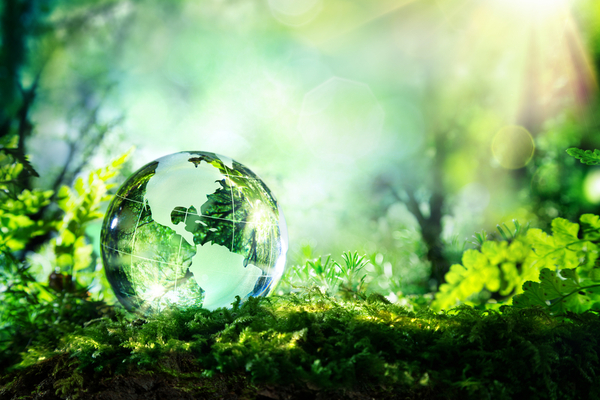epargne-et-investissement-:-connaissez-vous-le-«-label-isr-»-?