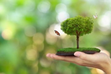 zones-natura-2000-:-quid-de-l’utilisation-de-pesticides-?