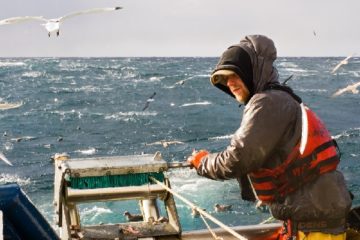 vente-de-poissons-destines-a-la-peche-:-quel-taux-de-tva-appliquer-?