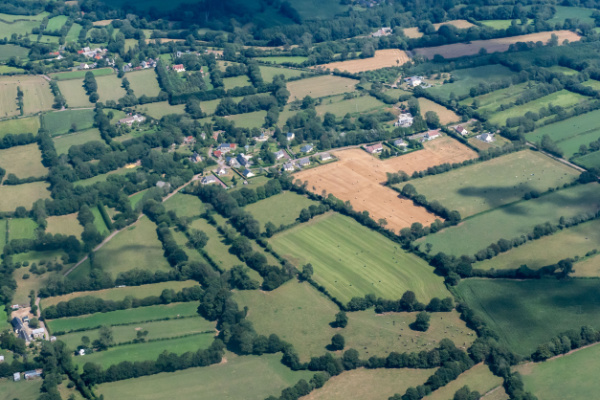 un-«-pacte-en-faveur-de-la-haie-»-pour-2024