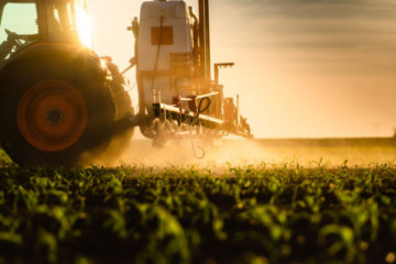 prosulfocarbe-:-herbicide-toujours-autorise,-mais-plus-encadre