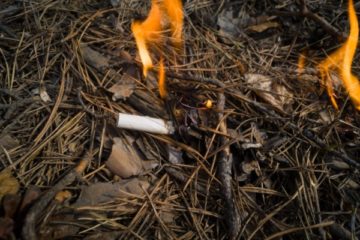 prevention-des-incendies-de-forets-:-la-responsabilite-elargie-des-producteurs-(rep)-du-tabac-est-mise-au-travail-!