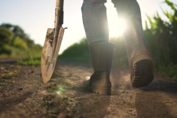 credit-d’impot-«-haute-valeur-environnementale-» :-plutot-deux-fois-qu’une ?