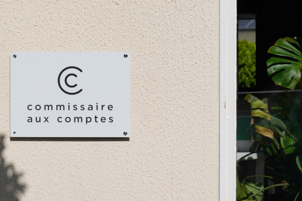 commissaires-aux-comptes-:-homologation-de-onze-normes-d&rsquo;exercice-professionnel-revisees