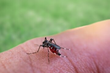 paludisme-en-guyane :-plus-de-tests-rapides-d&rsquo;orientation-diagnostique !