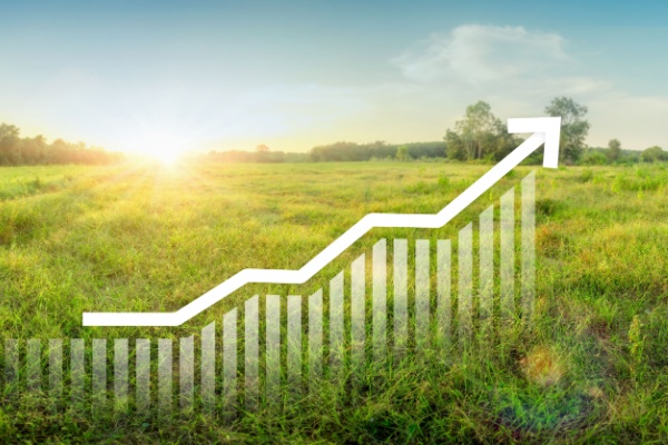 taxe-sur-la-cession-a-titre-onereux-d’un-terrain-nu-devenu-constructible :-du-nouveau-pour-2025 !