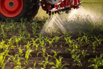 certiphytos :-nouvelle-prolongation-de-la-duree-de-validite