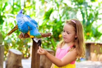 parcs-zoologiques :-vers-une-fin-du-taux-reduit-de-tva ?