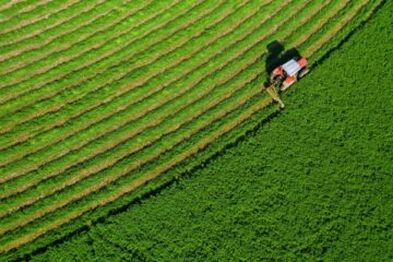 souverainete-alimentaire :-du-nouveau ?