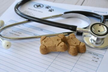 frais-de-veterinaires-et-d’alimentation-animale-:-une-revision-de-la-tva-en-vue-pour-les-spa-?
