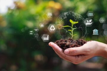 agriculture-:-aides-financieres-et-respect-de-l’environnement