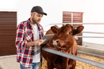 agriculture :-point-sur-la-situation