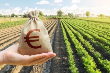 aides-a-l’installation-des-jeunes-agriculteurs-:-precisions-sur-les-sanctions