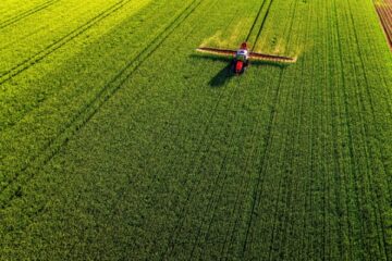 loi-duplomb-:-ce-qu’elle-change-pour-les-agriculteurs