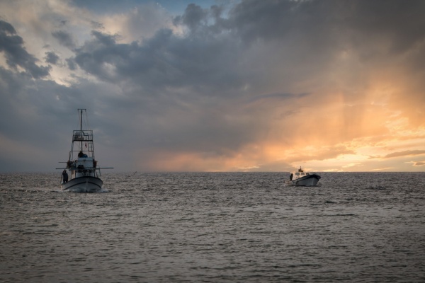 licence-de-peche-europeenne-:-rester-actif-pour-conserver-ses-droits