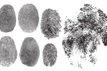 casier-judiciaire-et-empreintes-digitales-:-quelques-nouveautes…