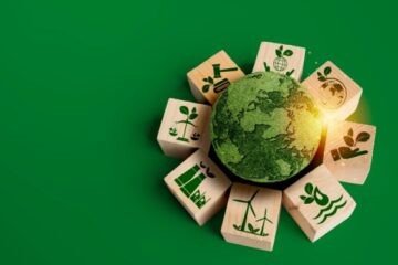 assurance-recolte-2026-2028-:-quelle-indemnisation-pour-les-agriculteurs-non-assures-?