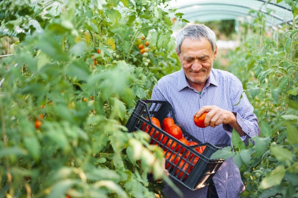 retraite-des-non-salaries-agricole-:-alignement-sur-le-regime-general