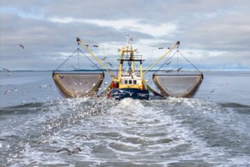 declaration-des-activites-de-peche-:-passage-a-la-declaration-electronique-?