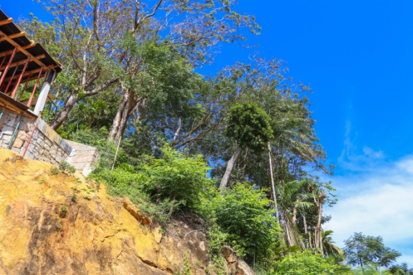 mayotte-:-de-nouvelles-derogations-pour-accelerer-la-reconstruction