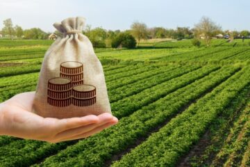 impots-et-taxes-pour-le-secteur-agricole-:-ce-qui-va-changer-en-2026