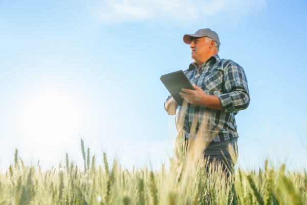 retraite-agricole-:-le-point-rco-revalorise-en-2025