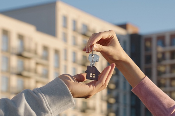 prescription-acquisitive-a-mayotte-:-un-delai-raccourci