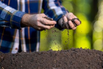 produits-fertilisants-:-une-definition-commune-des-usages