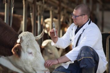 agriculture-:-le-point-sur-les-epidemies