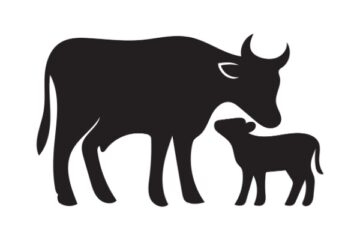 secteur-agricole-:-le-point-sur-les-aides-en-juin-2026