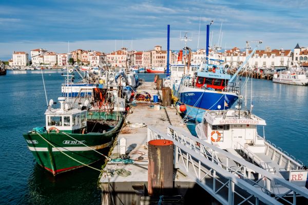 retour-de-peche-:-des-obligations-declaratives-a-respecter