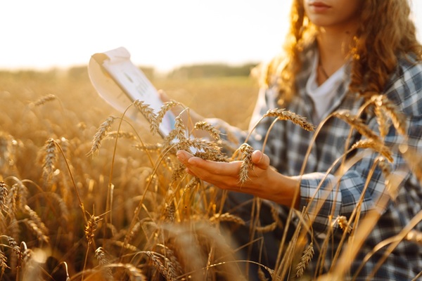 non-salaries-agricoles-:-des-nouvelles-regles-sociales-precisees