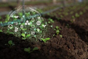 agriculture-:-qui-pilote-la-strategie-nationale-d’installation-et-de-transmission-?
