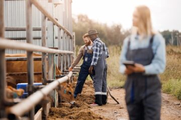 maladies-professionnelles-agricoles-:-les-conditions-de-diagnostic-sont-simplifiees